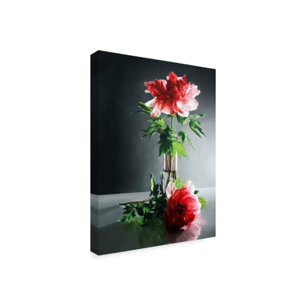 Cecile Baird 'Fragile Beauty Glass Vase' Canvas Art,35x47